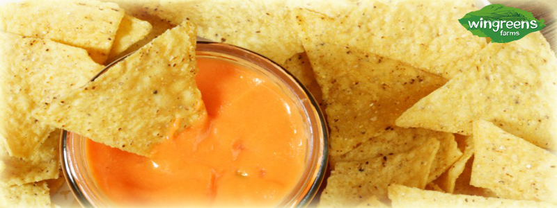 dips-for-chips-jalapeno-cheese-dip-with-nachos
